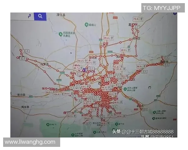 西安排球队的实力分析与未来发展方向探讨