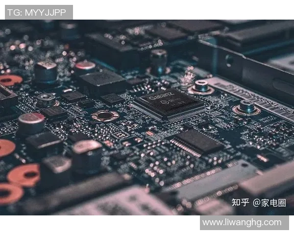 西安排球队快攻革新之路：战术变革与未来展望分析